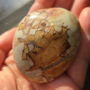 Ibis Jasper Palm Stone